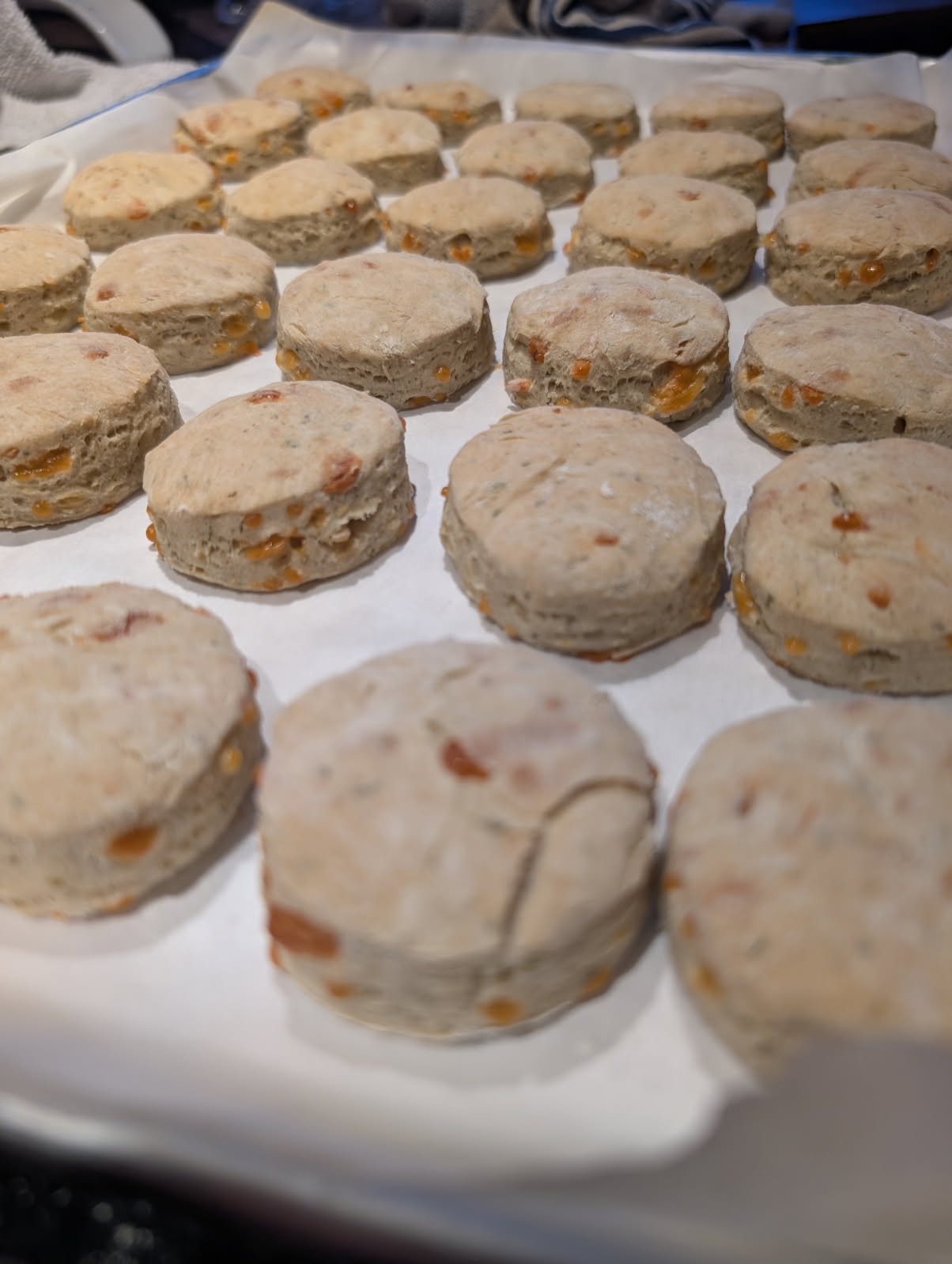 Herb and Cheese Biscuits